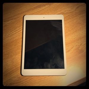 ipad Mini w/ Camera